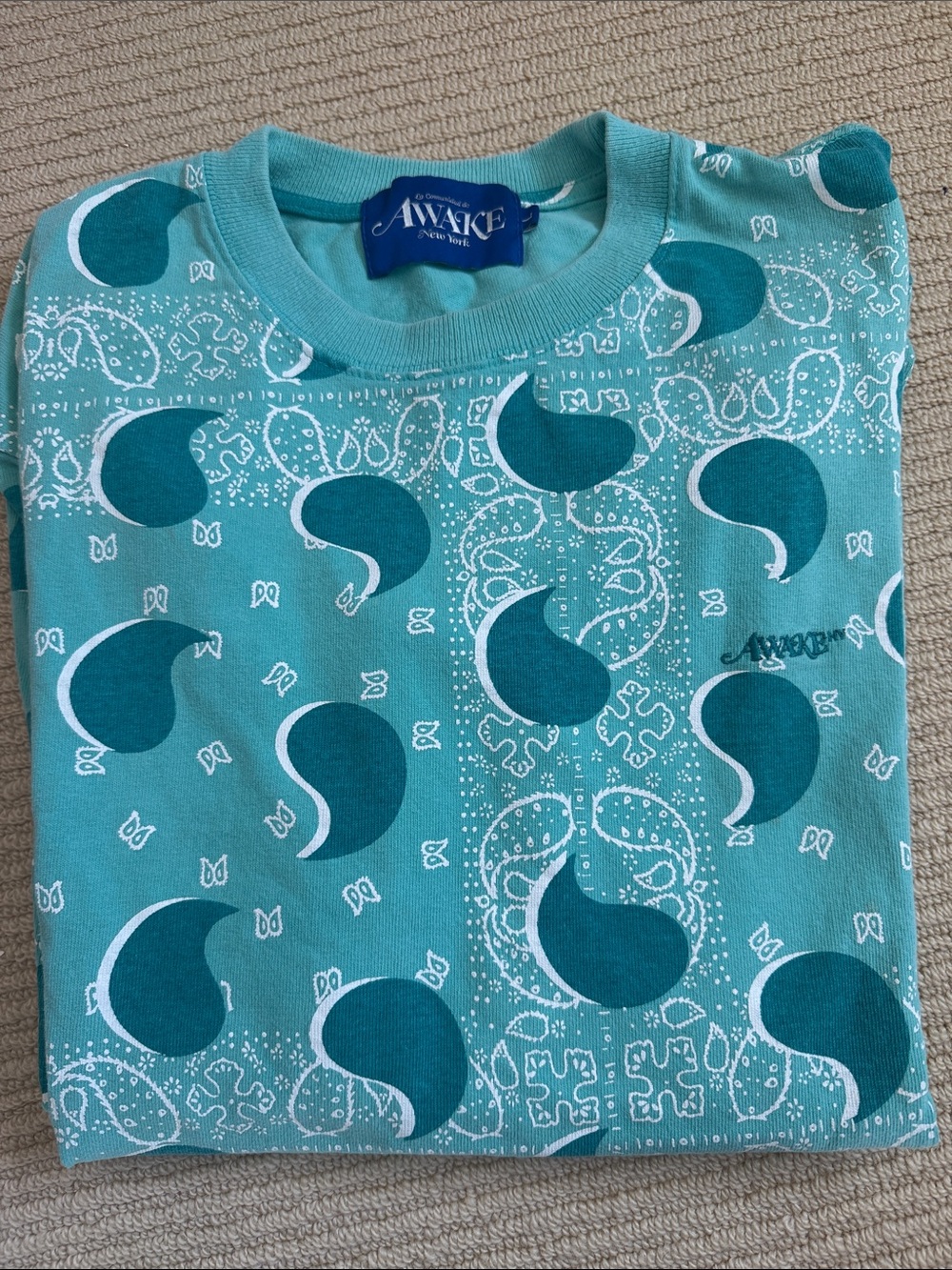 Awake NY Teal Paisley Bandana Long Sleeve